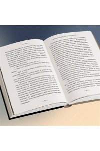 Венеция Ш. Внутри газовых камер. Подлинный рассказ работника крематория Освенцима