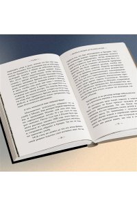 Венеция Ш. Внутри газовых камер. Подлинный рассказ работника крематория Освенцима