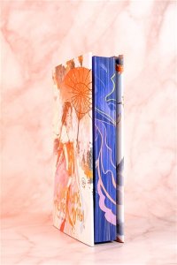 Тэнло В. Светлый пепел луны. Книга 1 (коллекционное издание)