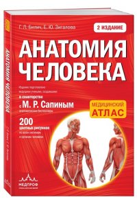 Анатомия человека