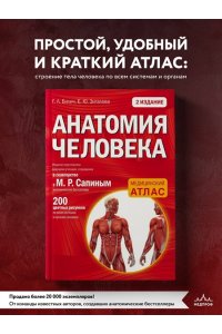 Анатомия человека