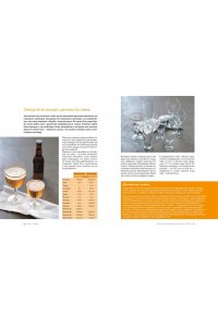 Гезий К. Beer Expert: Пиво. Идеальный путеводитель по сортам, видам, рецептам