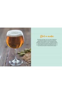 Гезий К. Beer Expert: Пиво. Идеальный путеводитель по сортам, видам, рецептам