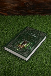 Бинчи М. Дом на Тара-роуд