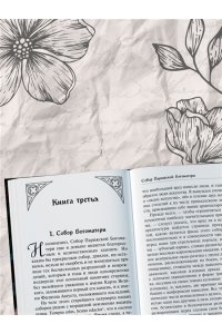Гюго В. Собор Парижской Богоматери