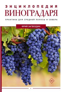 Загвоздин Ю.М. Энциклопедия виноградаря