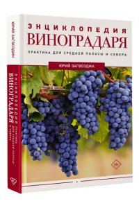 Загвоздин Ю.М. Энциклопедия виноградаря