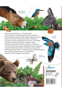 Пескова И.М., Снегирёва Е.Ю. Красная книга России