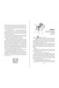 Вон Э. Семнадцатый