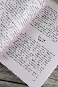 Сабатини Р. Скарамуш
