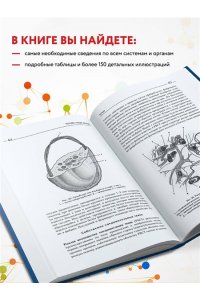 Атлас. Анатомия и физиология человека: полное практическое пособие. 2-е издание, дополненное