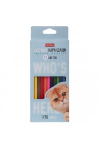 КАРАНДАШИ 12ЦВ HATBER(ТРЕХГРАНН) КТО ЗДЕСЬ? АРТ CS_094109 (1653)
