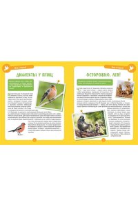 Альбуи В. Невероятные животные