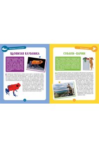 Альбуи В. Невероятные животные