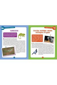 Альбуи В. Невероятные животные