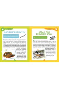 Альбуи В. Невероятные животные