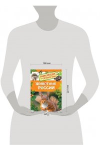 Животные России. Энциклопедия для детского сада.