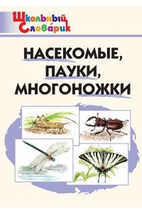 Сергеева М.Н. ШС Насекомые, пауки, многоножки.