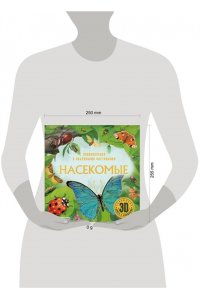 . Насекомые