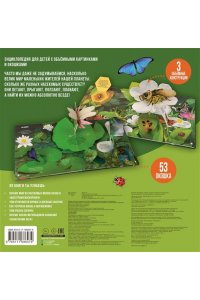 . Насекомые