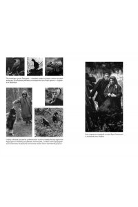 Песков В. Таежный тупик. История семьи староверов Лыковых