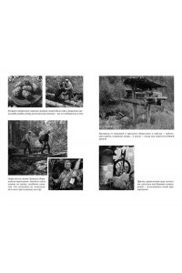 Песков В. Таежный тупик. История семьи староверов Лыковых