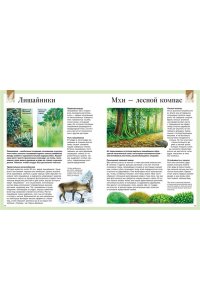 Детская энциклопедия про всё на свете