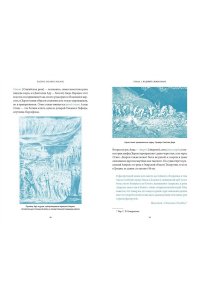 Осояну Н. Мифы воды. От кракена и Летучего голландца до реки Стикс и Атлантиды