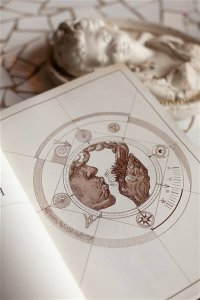 Коллектив авторов The Book. Как создать цивилизацию заново