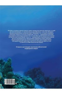 Балле К. Животные морей и океанов. Большая школьная энциклопедия