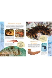 Балле К. Животные морей и океанов. Большая школьная энциклопедия