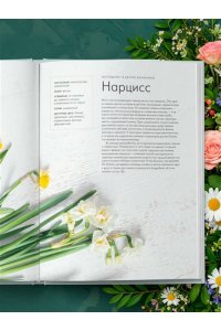 Уильямс Л. Магия контейнерного сада. Цветочный дизайн террас, веранд, балконов, патио и маленьких садов