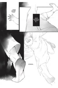 Сяо Н. Защитница. Том 1