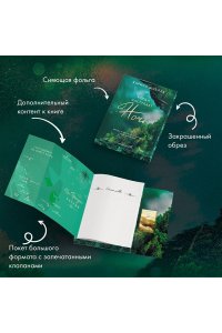 Шнелль К. Когда наступает ночь (#2)