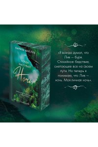 Шнелль К. Когда наступает ночь (#2)