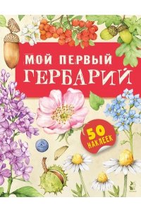 Дудова К.В. Мой первый гербарий
