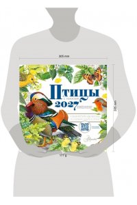 К-РЬ НАСТ 2027 КАЛЕНДАРЬ ПТИЦЫ С ГОЛОСАМИ А4 КВАДР СКРЕПКААСТ 641-0