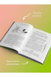 Пратчетт Т. Творцы заклинаний (Плоский мир: Ведьмы #1)