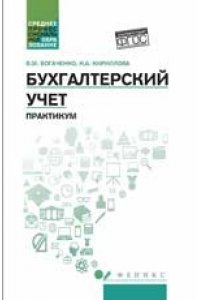 Бухгалтерский учет. Практикум