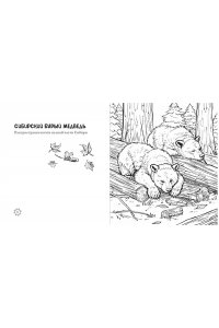 <не указано> Чарующие краски России. Страницы нежности и красоты