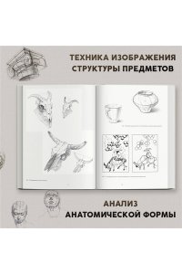 Основы учебного академического рисунка