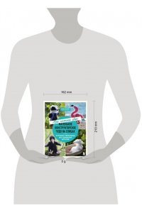 Котова А.И. Мой нежный зверь. Маленькое конструкторское чудо на спицах. Игрушки, связанные без сшивания деталей