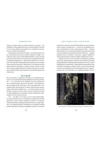 Баркова А. Зельеварение на Руси. От ведьм и заговоров до оберегов и Лукоморья