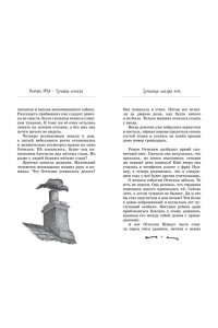 Больманн С. Особняк №13 - Чумовая семейка