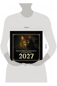 К-РЬ НАСТ 2027 ПОДСКАЗКИ МУДРОГО КОТА НА КАЖДЫЙ ДЕНЬ А4 КВАДР СКРЕПКААСТ 929-9