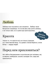 Ф.М. Достоевский Братья Карамазовы. Том 1. Вечные истории. Young Adult