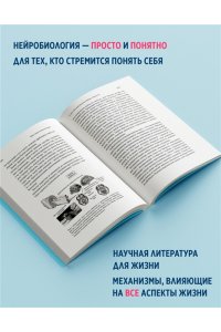 Иглмен Д. Мозг: ваша личная история
