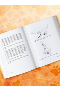 Дмитриева Е.В. Без ошейника. Как воспитать счастливую собаку без вредных мифов и наказаний