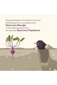 Банфи К., Перабони К. Что внутри? Как устроены дома животных