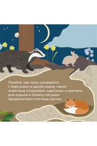 Банфи К., Перабони К. Что внутри? Как устроены дома животных